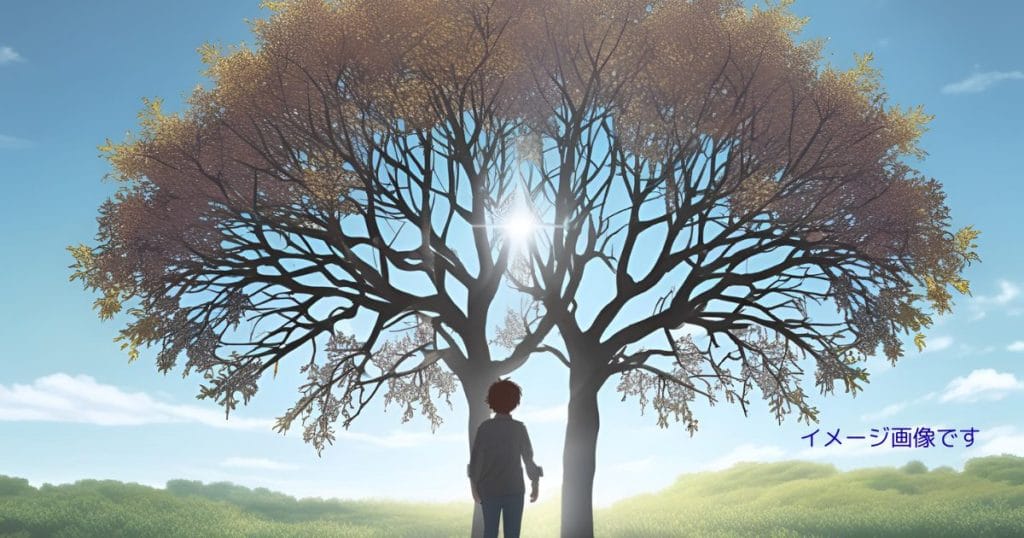 最強の王様 二度目の人生は何をする アニメの評価と原作の違い