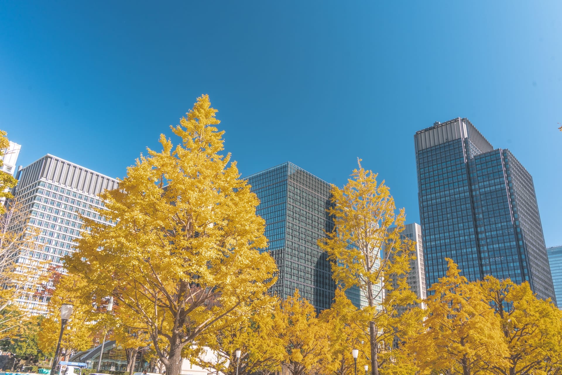 チェンソーマン レゼ編とはデンジとレゼの関係や物語の核心を徹底紹介